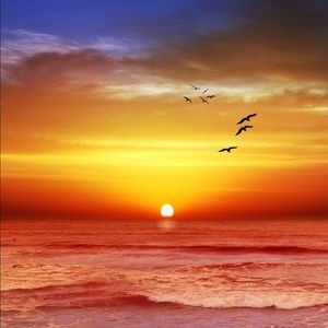 Meet your Posher, Angel